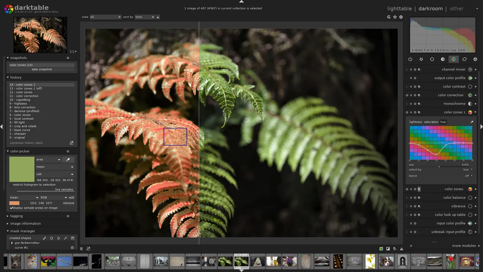 La chambre noire de darktable : une photo de fougères en comparaison avant et après, l'historique des modules à gauche et les modules de couleur à droite