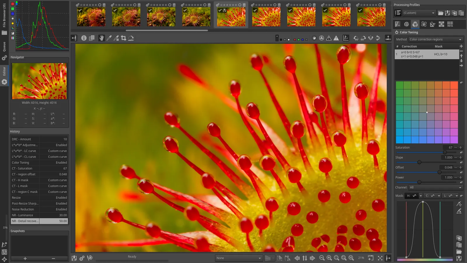 RawTherapee avec une macro de plante ouverte, l'histogramme et l'historique à gauche, les outils de correction de couleur à droite