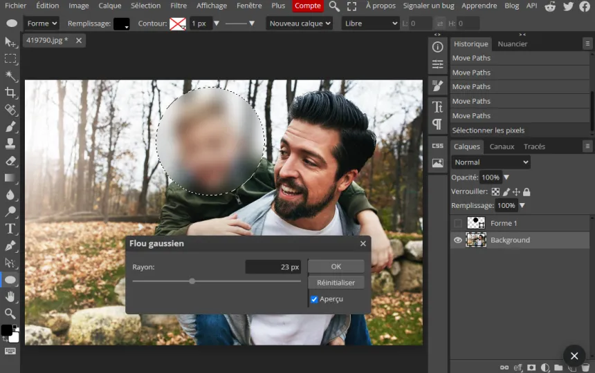 Flouter une image ou un visage en ligne